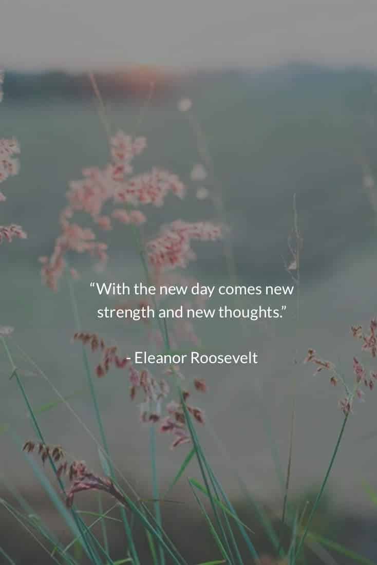 The New Day | Covetboard Quotes