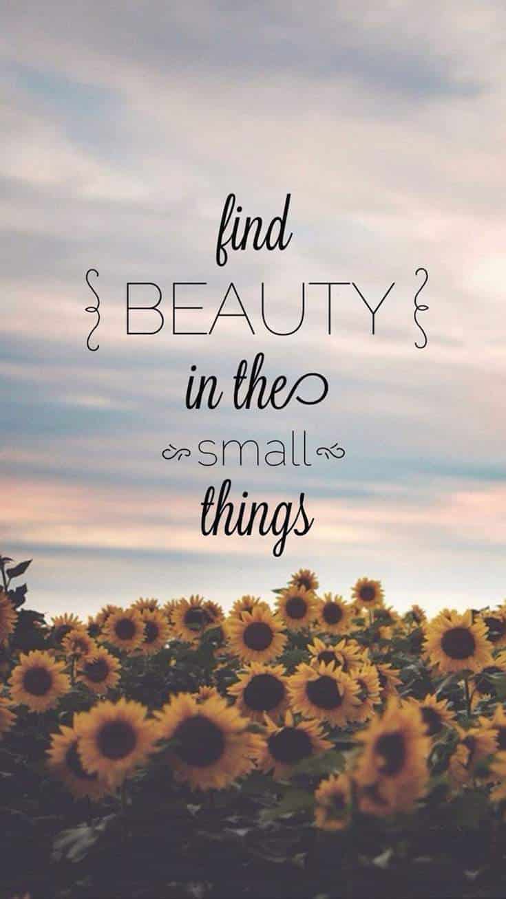 Small Things | Covetboard Quotes