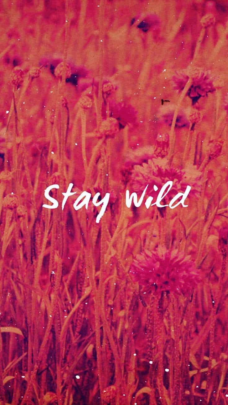 Stay Wild | Covetboard Quotes