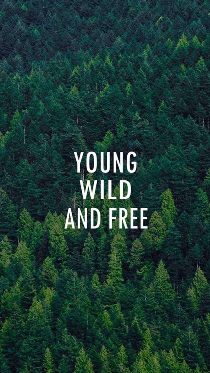 Young, Wild and Free | Covetboard Quotes