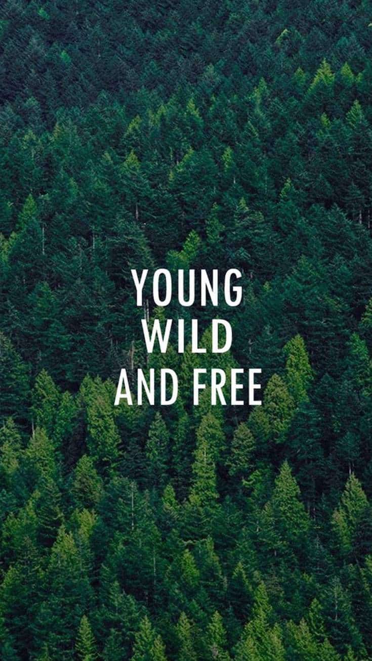 Young, Wild and Free | Covetboard Quotes