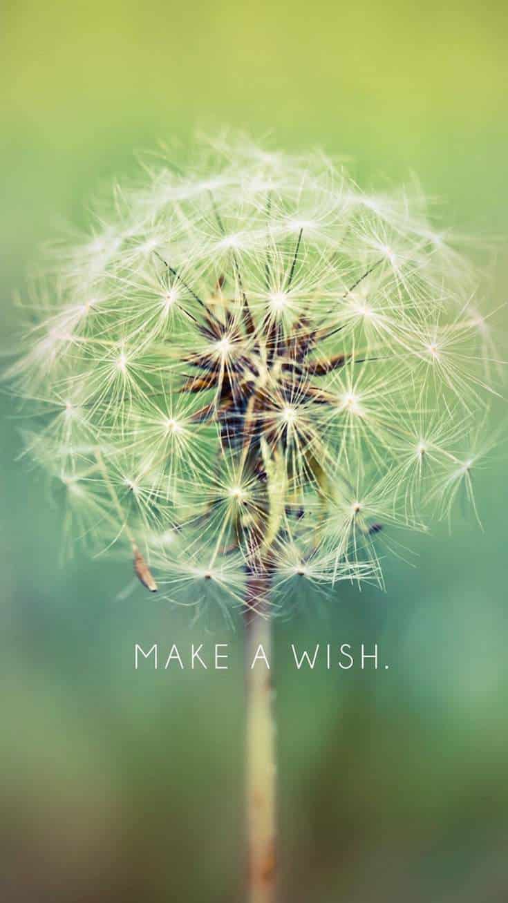 Make A Wish | Covetboard Quotes