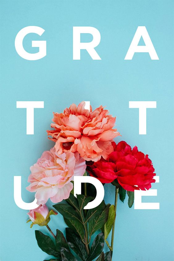 Gratitude | Covetboard Quotes