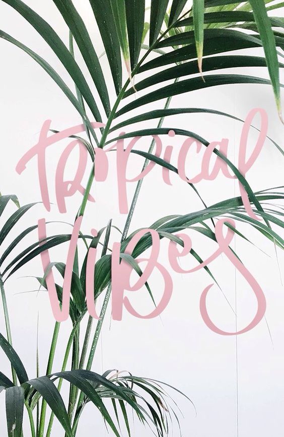 Tropical Vibes | Covetboard Quotes