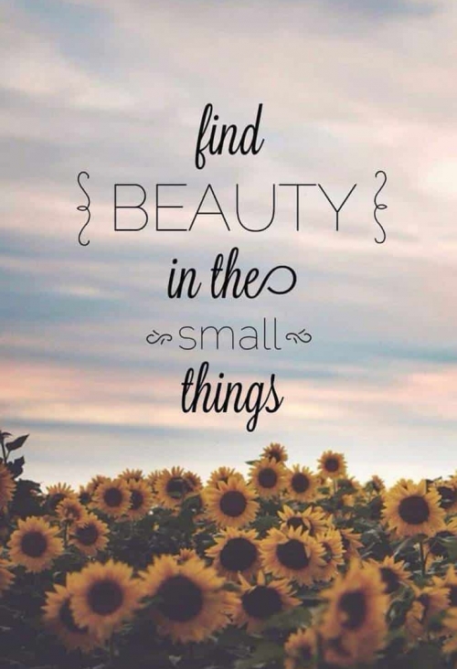 Small Things | Covetboard Quotes